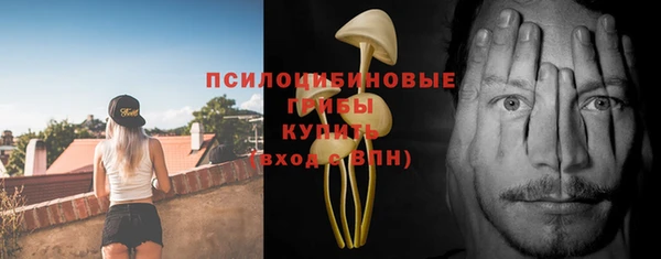 тгк Алзамай