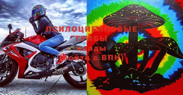 тгк Алзамай