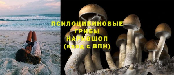 тгк Алзамай