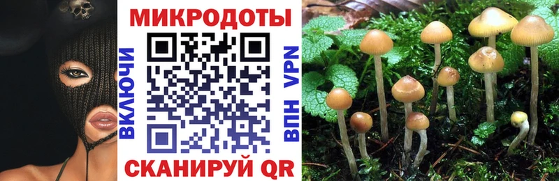 купить закладку  Ачхой-Мартан  omg как зайти  Галлюциногенные грибы Psilocybine cubensis 