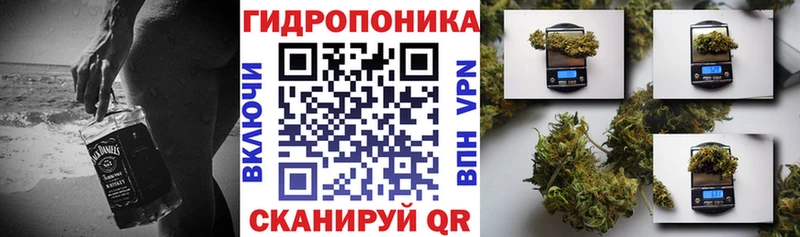 закладки  Ачхой-Мартан  Марихуана Bruce Banner 